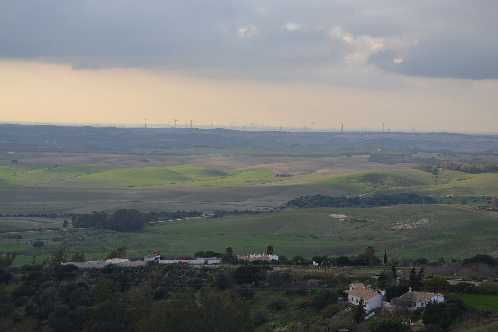 La campiña verde y ondulada vista desde los miradores de Medina Sidonia, con luz baja de diciembre