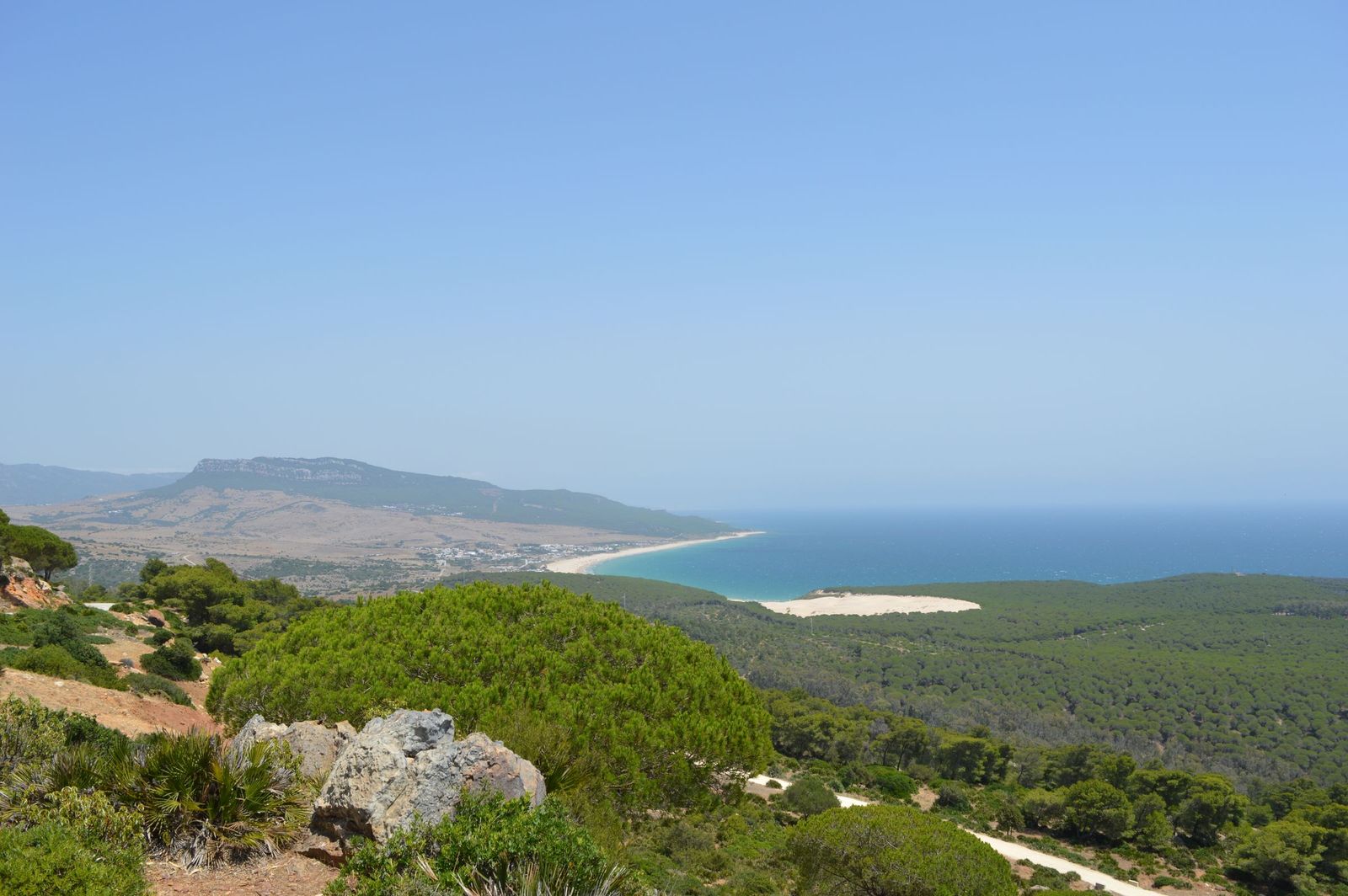 La ensenada de Bolonia desde el mirador: la gran duna blanca, la playa curvada y la sierra al fondo, sin gente